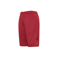 Air Jordan Rise Striped Triangle Logo