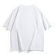 PIERRE CARDIN T