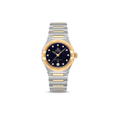 OMEGA 50 29mm 131.20.29.20.53.001