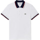 LACOSTE LogoPolo