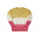 Champion Reverse Weave logo