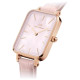 Daniel Wellington 29*36.5mm 30m