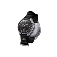 SWATCH 30 42mm