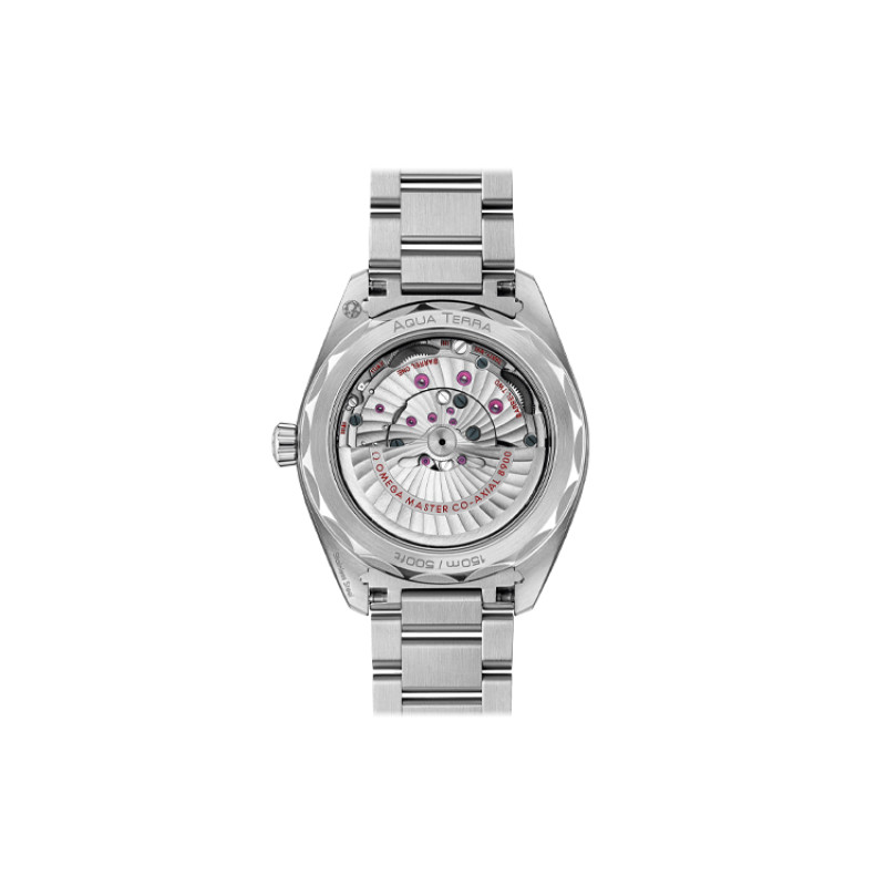 OMEGA 41mm 220.10.41.21.10.001