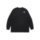 THE NORTH FACE T