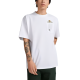 Converse T