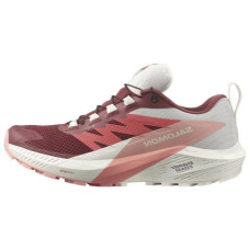 SALOMON Sense Ride 5 GTX