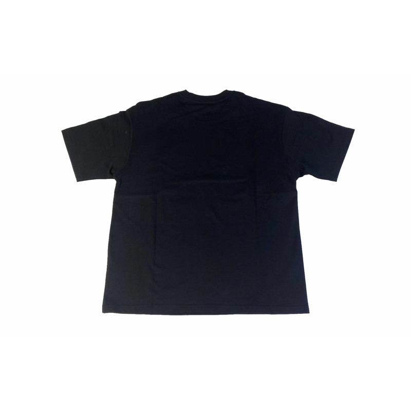 FAIRWHALE T