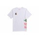 Air Jordan Label T