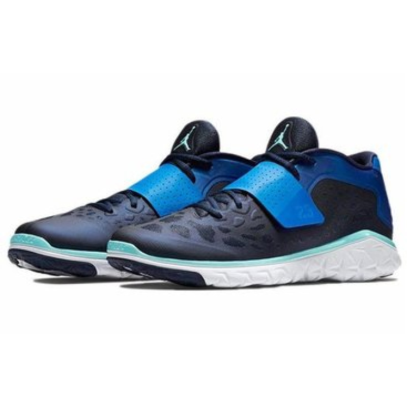 Air Jordan Flight Flex Trainer 2