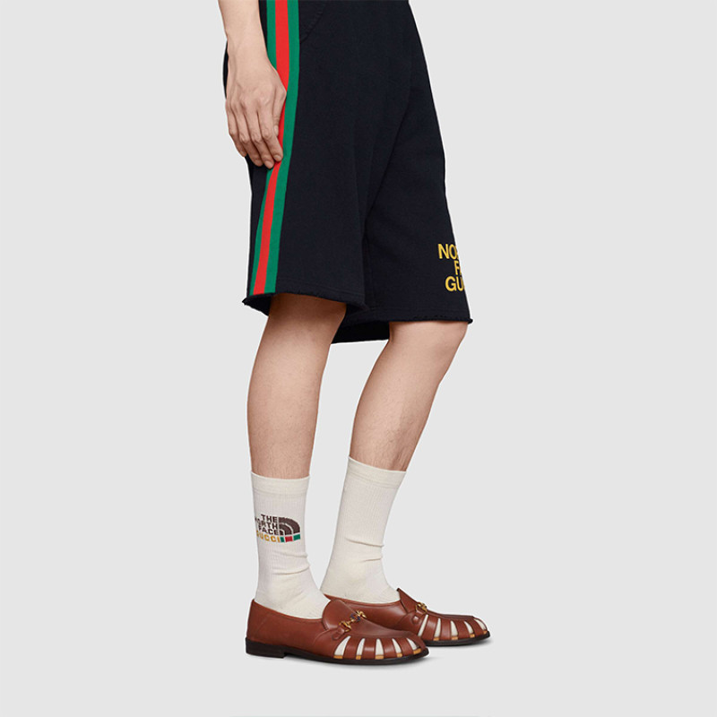 GUCCI x x the north face Logo 1
