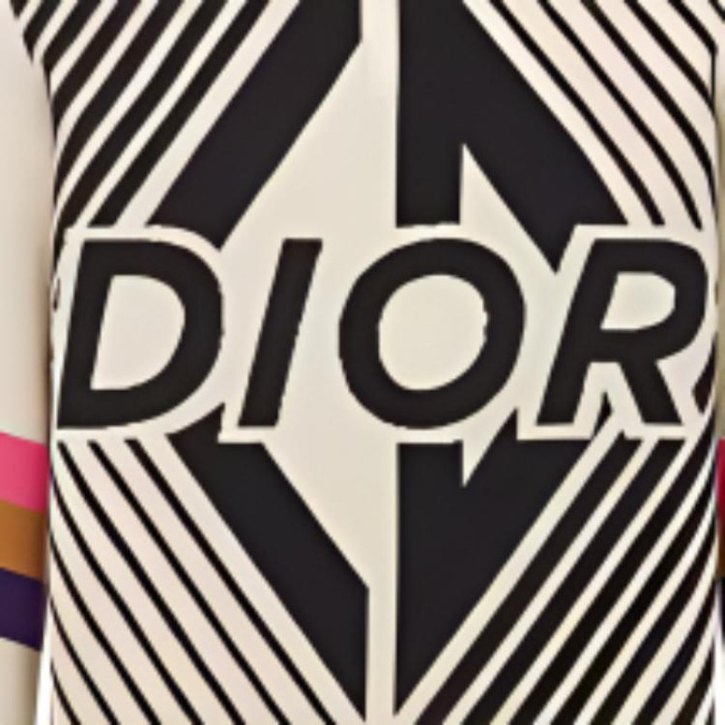 DIOR FW22 Logo
