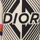 DIOR FW22 Logo