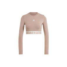 adidas originals Neutral Court Graphic Tee LogoT