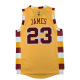 adidas x NBA 15-16 SWingman