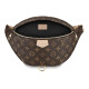 LOUIS VUITTON Bumbag