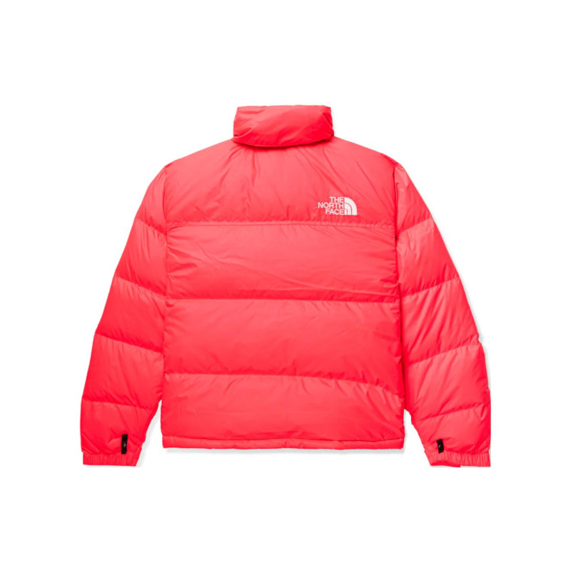 THE NORTH FACE 1996 RETRO NUPTSE Logo