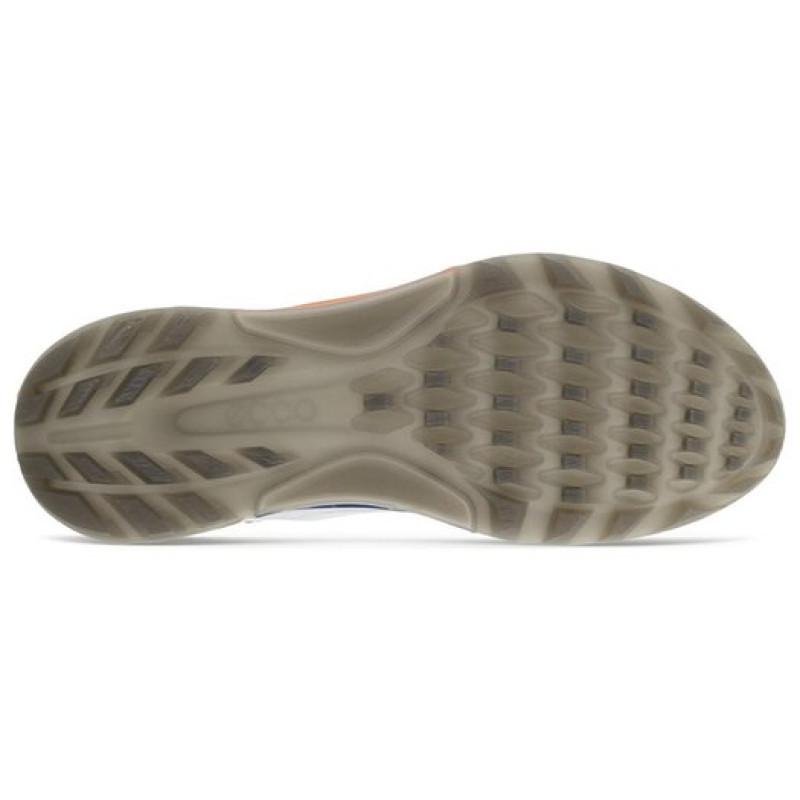 x ecco Biom C4