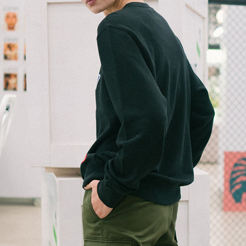 Dickies Logo