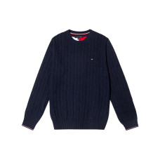 Tommy Hilfiger Logo