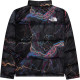 THE NORTH FCAE 1996 Nuptse700
