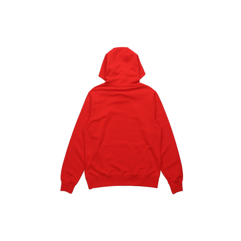 Dickies FW20 logo