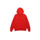 Dickies FW20 logo