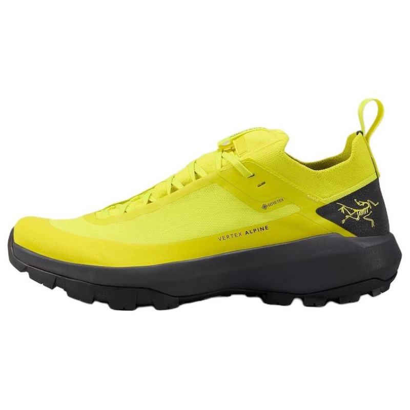 Arcteryx Vertex GTX