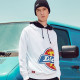 Dickies Logo
