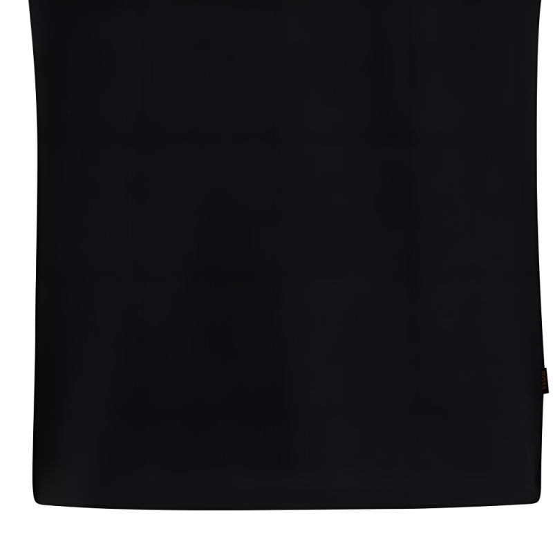 HUGO BOSS T