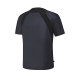 FILA T