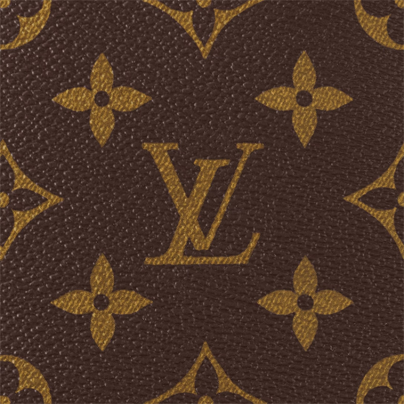 LOUIS VUITTON Monogram