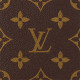 LOUIS VUITTON Monogram