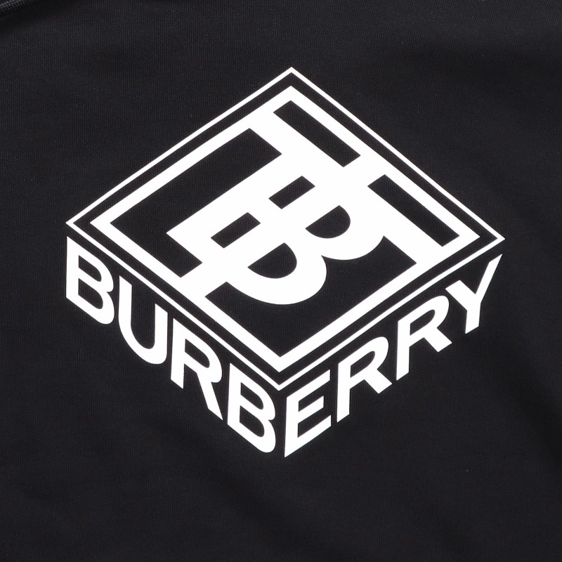 Burberry 3D