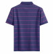 PIERRE CARDIN Polo