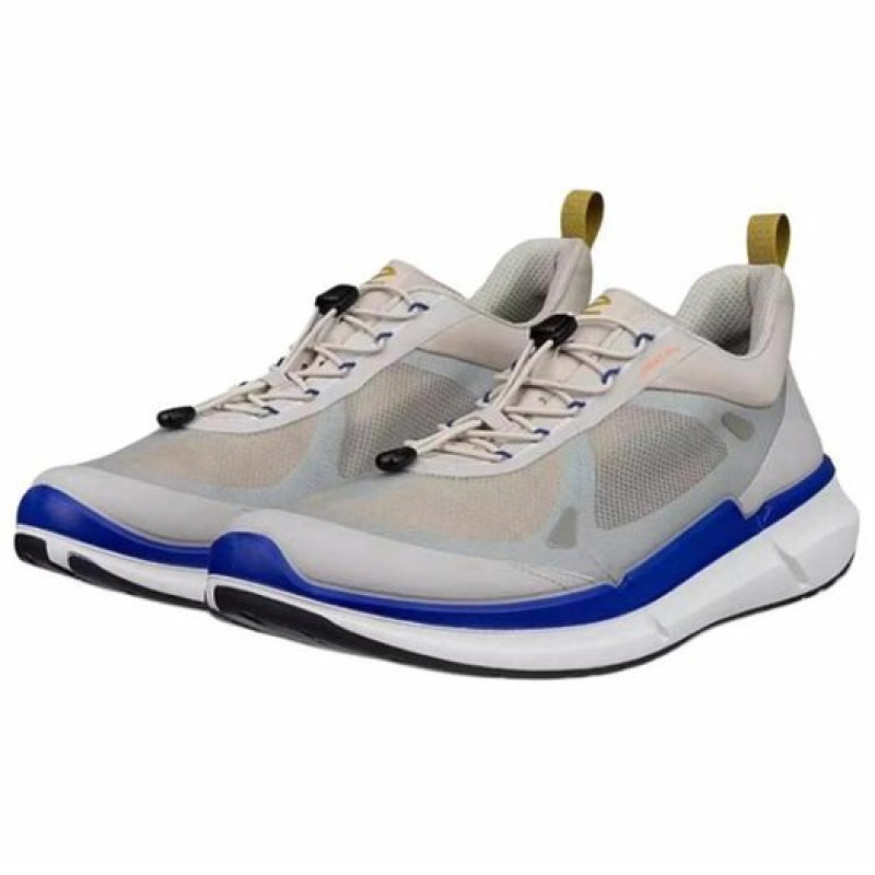 ecco Biom 2.2