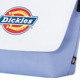 Dickies Logo