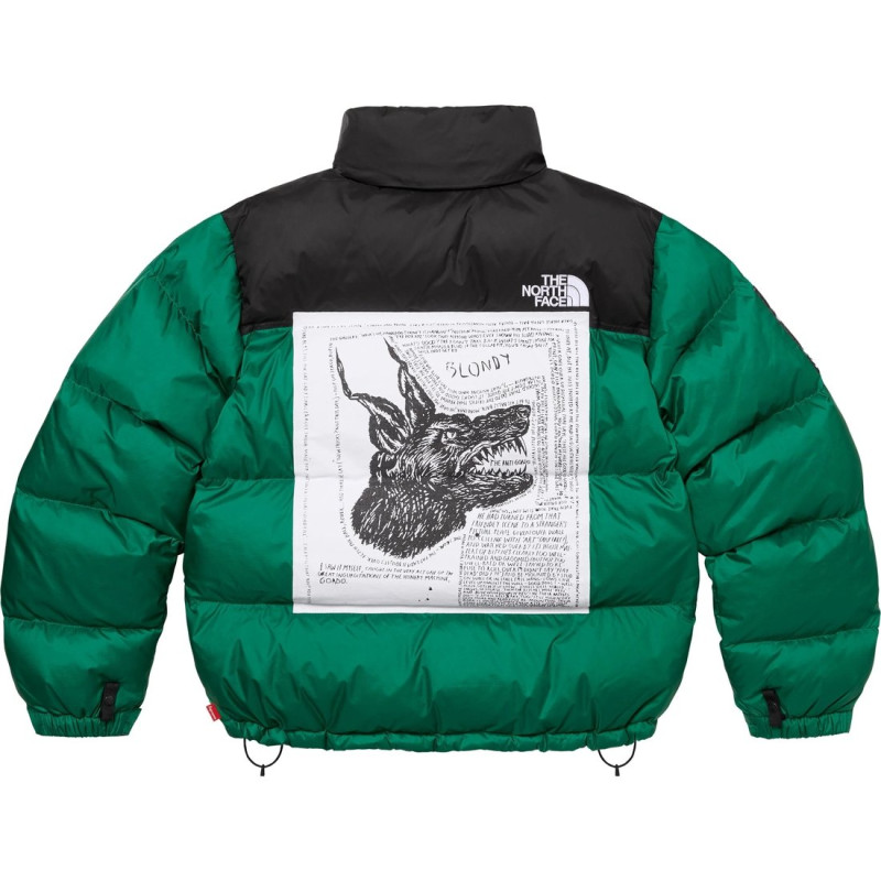 Supreme x THE NORTH FACE FW24 WEEK9 logo