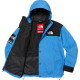 Supreme x THE NORTH FACE FW24 WEEK9 logo