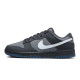 Nike Dunk Low 811