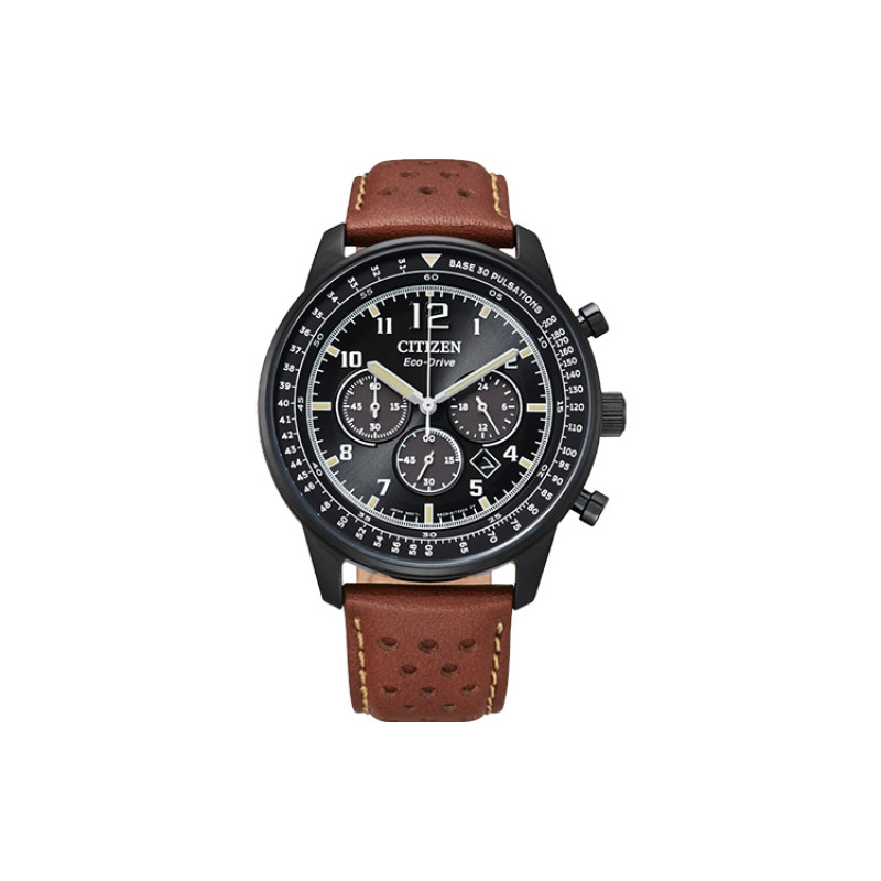 CITIZEN BIP CA4505-12E
