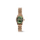 Daniel Wellington DW DW OPHELIA 25.5x22mm