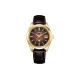 CITIZEN 100 34mm AQ4102-01X
