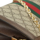 GUCCI Ophidia Logo