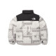 THE NORTH FACE 1996 Nuptse