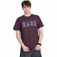 FAIRWHALE T