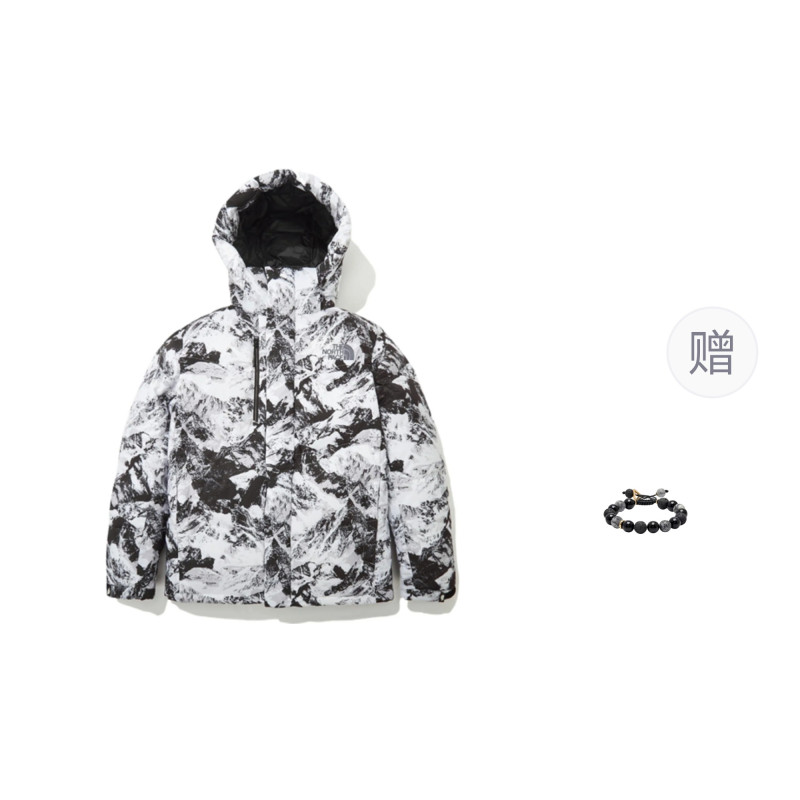 THE NORTH FACE FW22