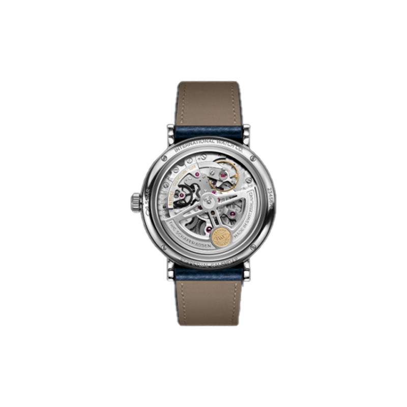 IWC 50 40mm IW344601