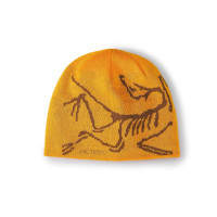 Arcteryx Logo EdzizaRelic