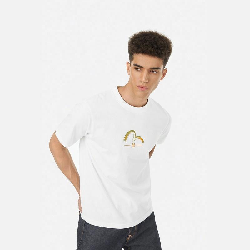 EVISU 2024 MT